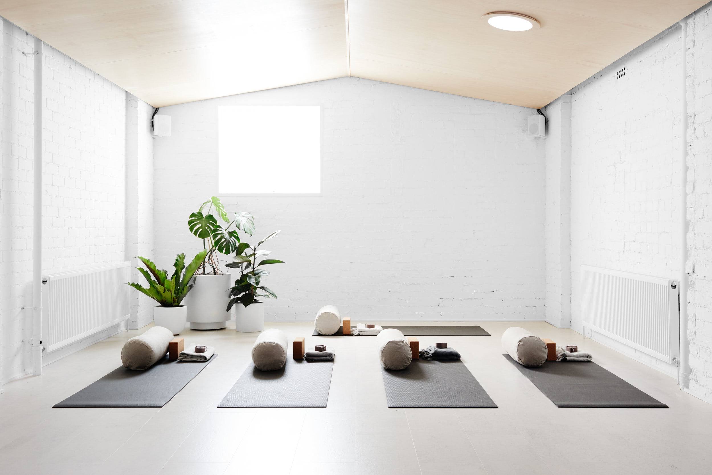 Clean and calm yoga studio with beautiful nature view. Interior