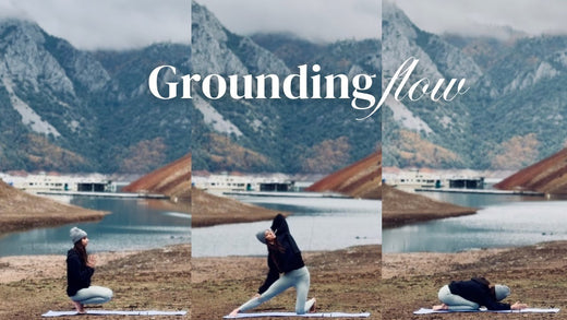 Grounding Flow with Carla